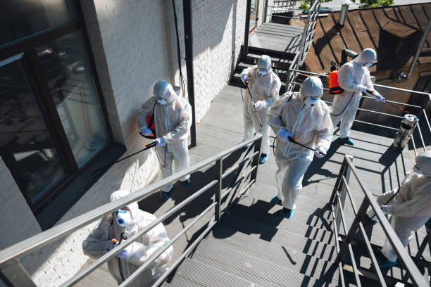 Best Basement Mold Removal  in Selma, AL