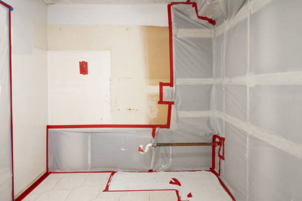 Best Mold-Related Health Consultation  in Selma, AL