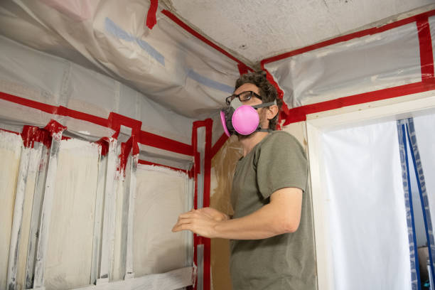 Professional Mold Removal in Selma, AL