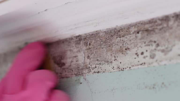 Best Mold Remediation for Healthcare Facilities  in Selma, AL